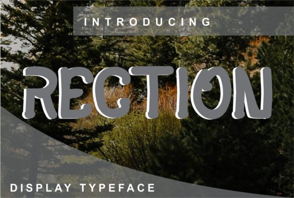 Rection: A Versatile Display Font for Creative Makers